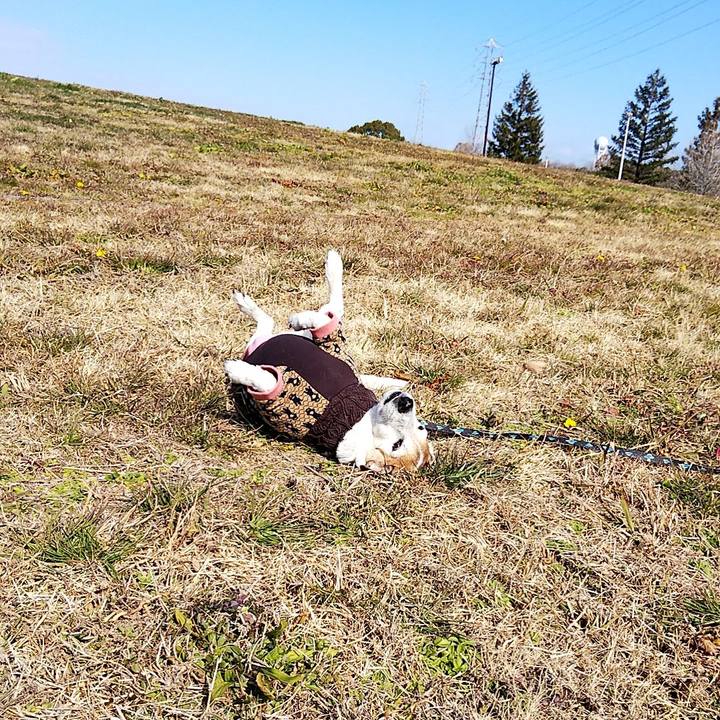 3905218c 4b5b 42b6 9237 b8aabb552d0a 1548567953775