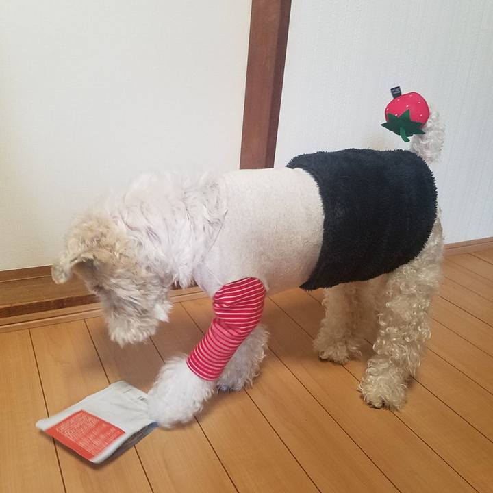 390579a8 fa6f 42b0 9a7b 7782fd227f2c 1583638241904