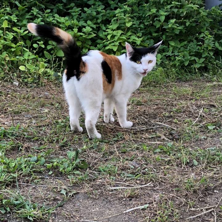 390581b6 75cd 492f b73c 31967d3f2595 1600587486730