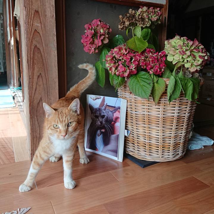 3905c709 0877 4cda 9af8 c5c32661cc0a 1604198641321