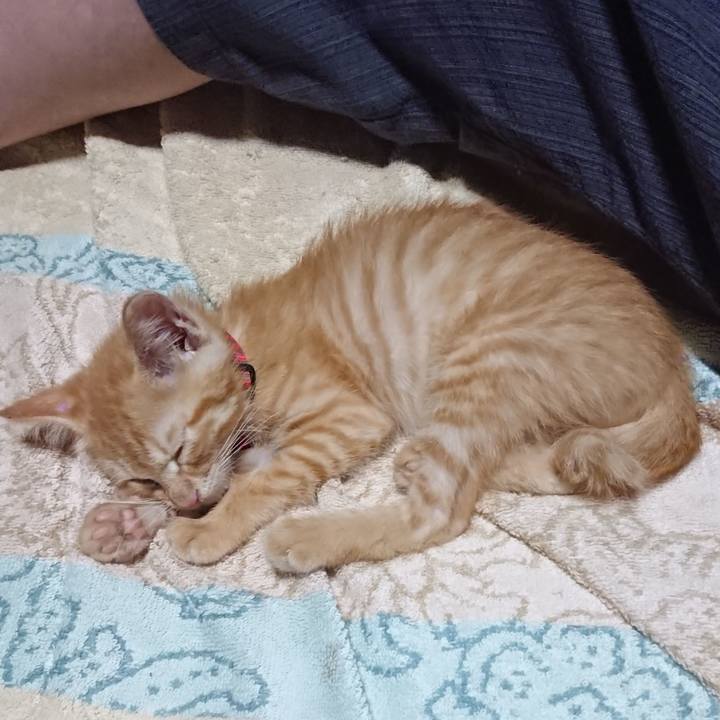 3905ce06 ec6e 4e99 804c f6a05e52f973 1628337965526