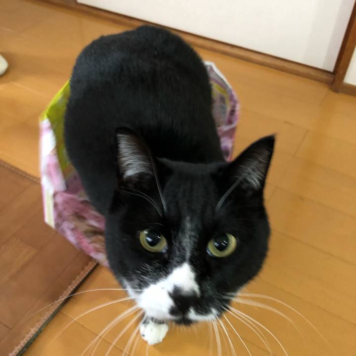 3905de84 3977 4225 93f0 111cd7dccaf0 1612410604252