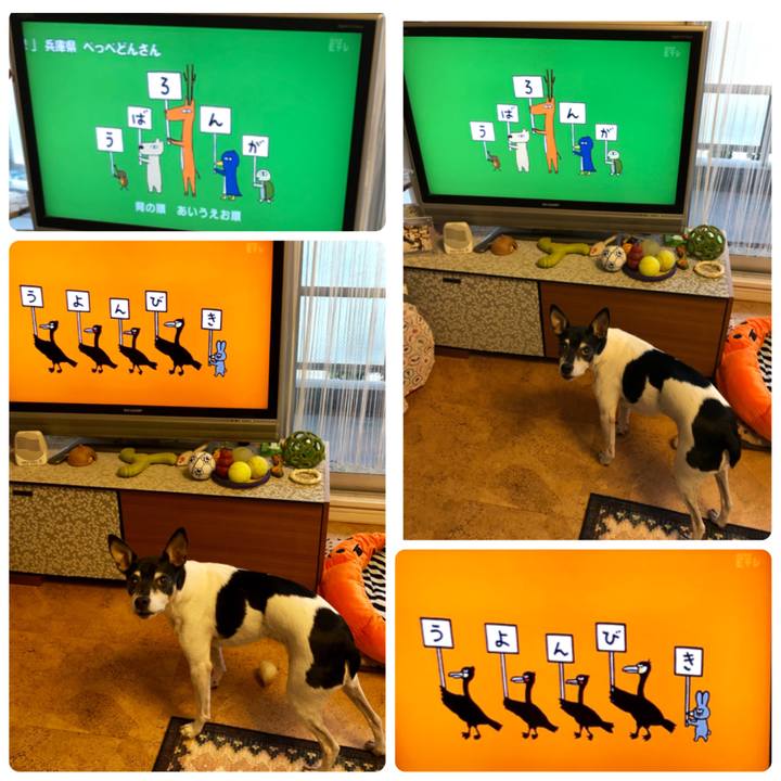 3905e91f c91f 4426 bc54 e4bc7f664841 1543576566017