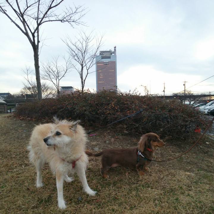 39060067 a6a7 45a8 8977 39ea8a9540ab 1512891244322