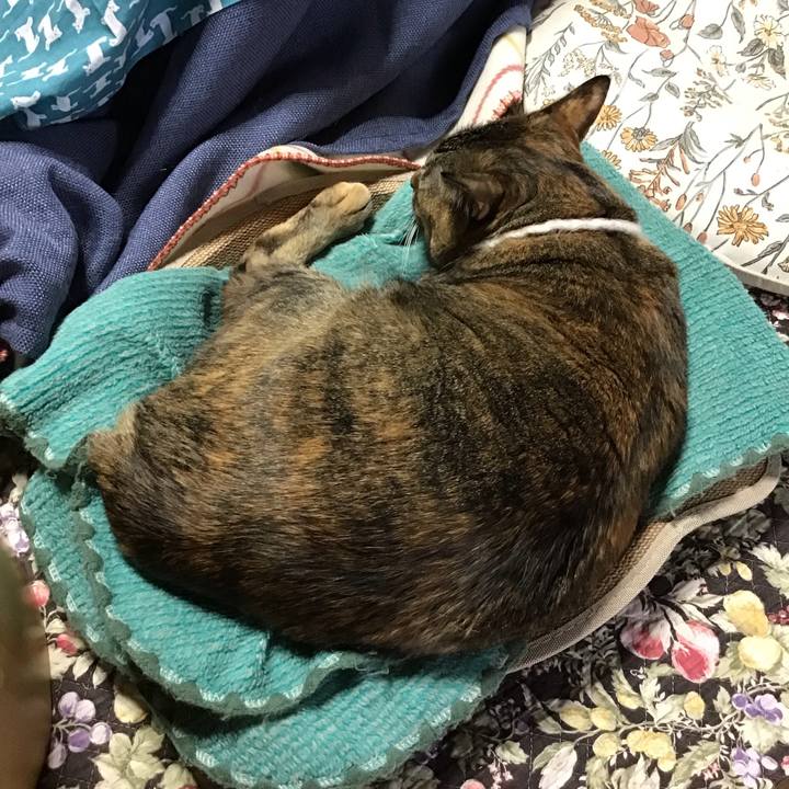 39066fd6 6c9d 438a b34f 36ecc9d9e17b 1746511068670