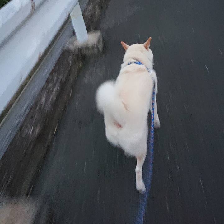 39069213 edeb 4c47 a4cf 501362ed5078 1599473410790