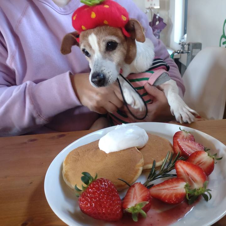 39069351 2e74 4f63 b53c 2569cf40d0bc 1769917947669