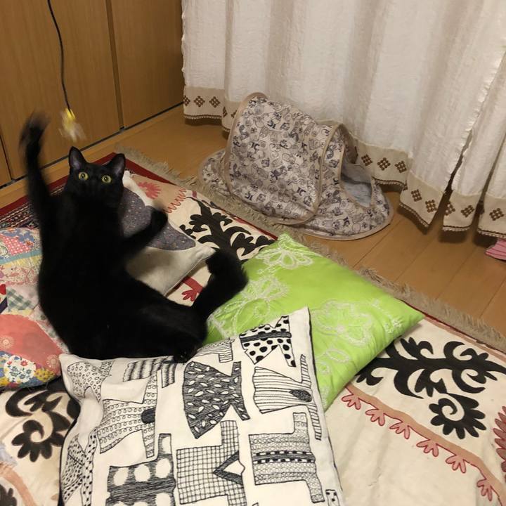 3906a2a5 0f97 4a77 ae7a 7aa5591d1650 1522837165326