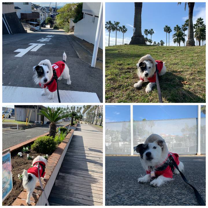 3906b362 5900 48ff 8c8a 80d55fb3f698 1670030565328