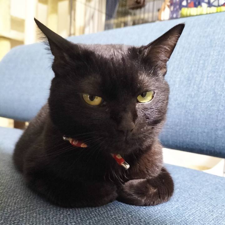 3906d4ad 95b4 42d5 b781 85e12c2ee1bc 1686315240430