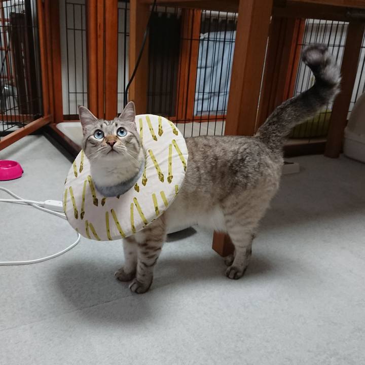 3907152b 2abd 4f80 9723 2fdea82a829a 1561977366303