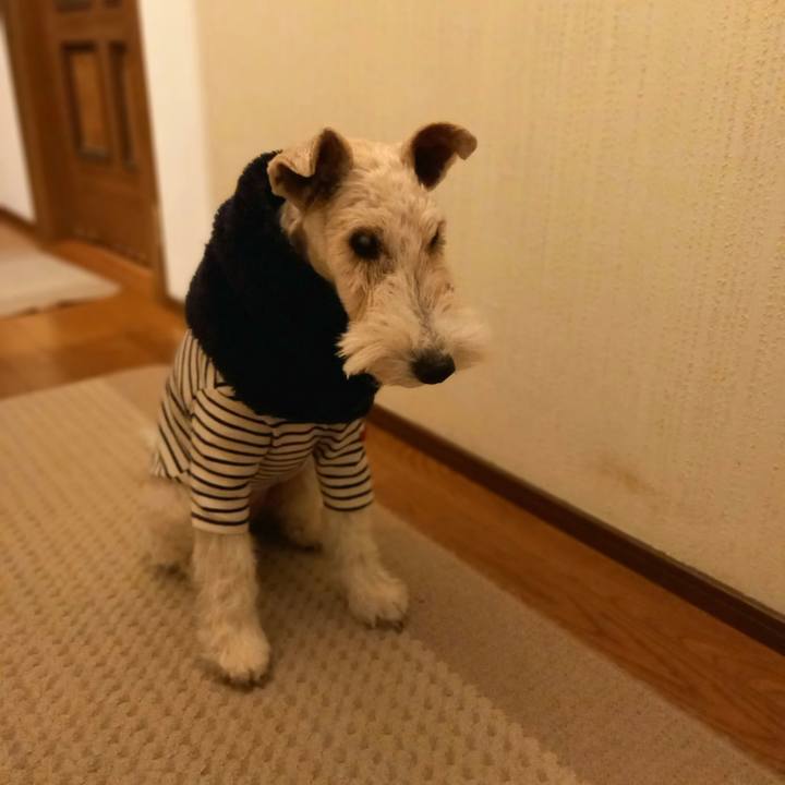 39071f15 07b5 4a87 9160 7775ca635b86 1611241147975