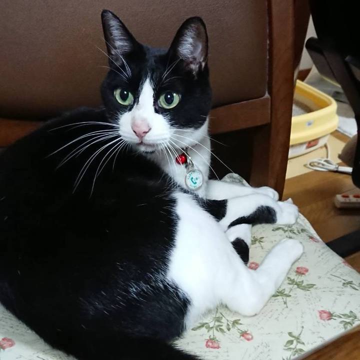 390730b9 f060 4e19 875d 1071c66d6141 1670632304265