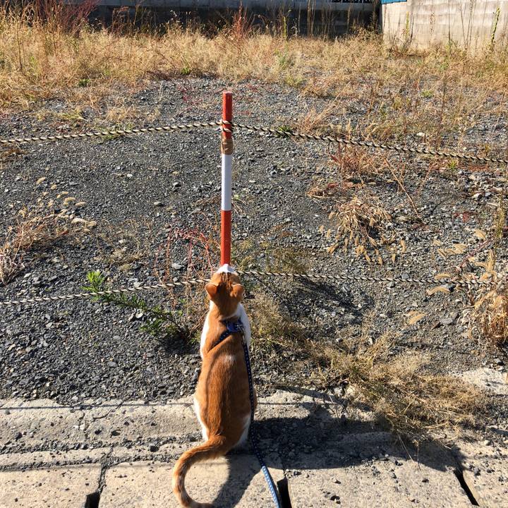 39073b54 de1e 44c1 88cc 063679a856ad 1540439411471