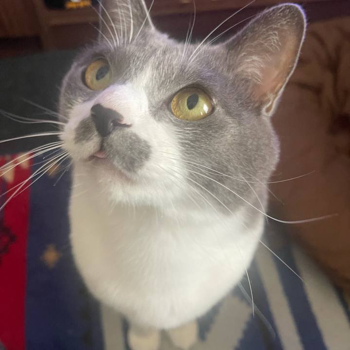 39075632 70c8 42a7 8951 15853f895640 1668908357000