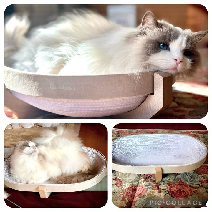 39078091 9002 47a1 9b2b b4ef11e83fdc 1738892594694