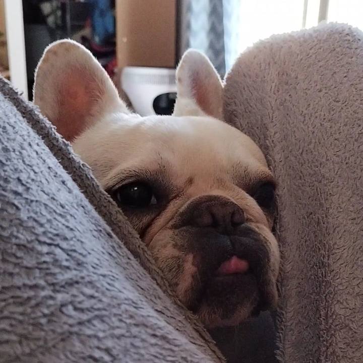 39079080 a824 4b18 b1ab 339e04f2a923 1683239588333