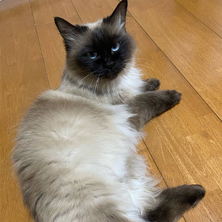 390798bb b603 44b4 bad6 5963b9fc486f 1647160079083