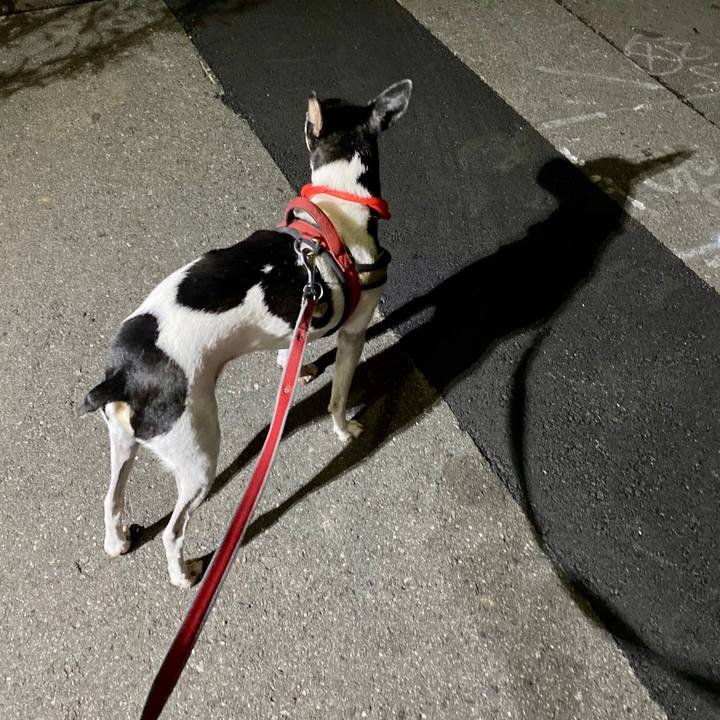 3907af6d 9ccf 4d7c a5cf 8a2164778b22 1603149000122