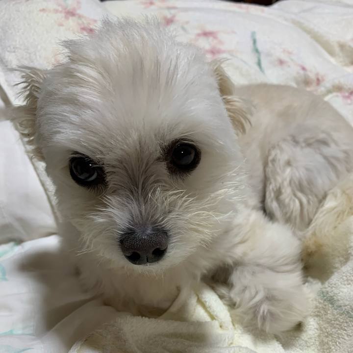 3907c3d2 3eeb 4dcc 8afc c376c898ae5c 1650885564824