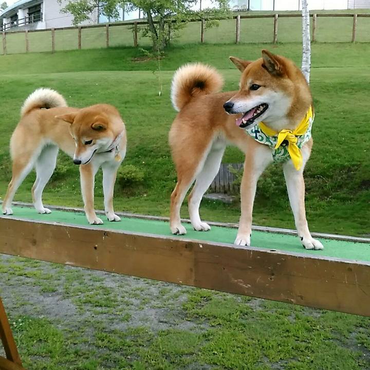 3907fbfd 64af 472b 8a22 ee1baa950a5b 1562416747354