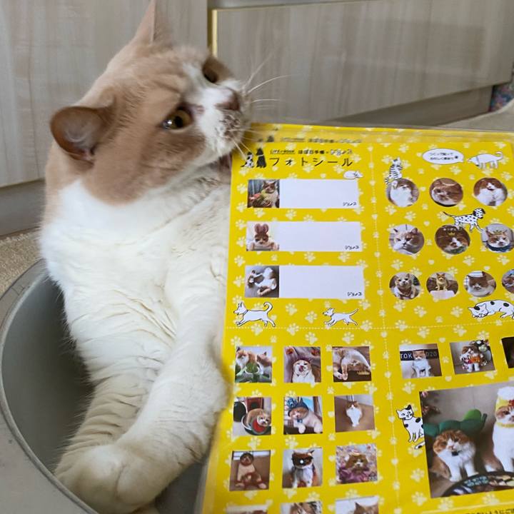 39080a4b bab2 423a ac99 ac17be052ef1 1660348738629