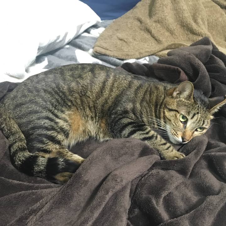 39081f8b a93d 41da 9afd dcc3f5cf54e9 1554031436780