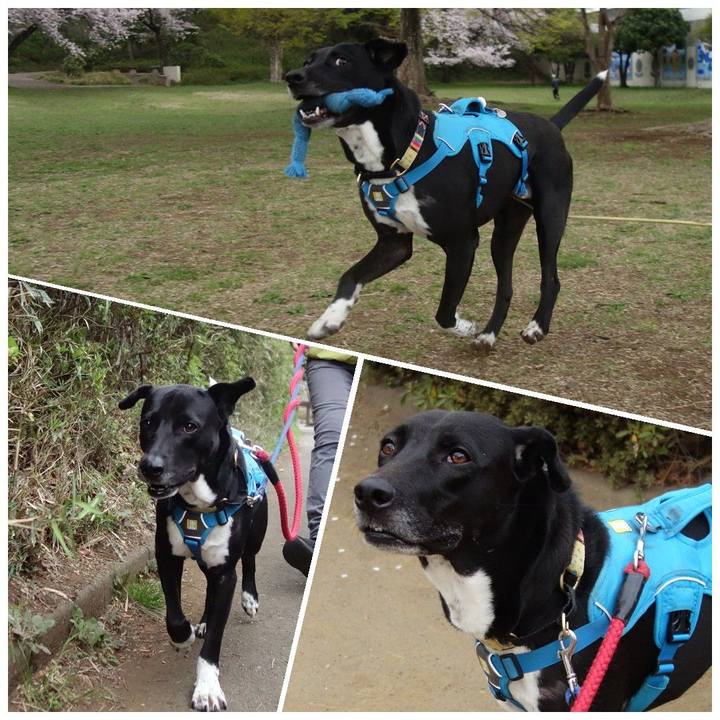 3908226b 2596 45ba b5da d88f6d8b983d 1616890121295