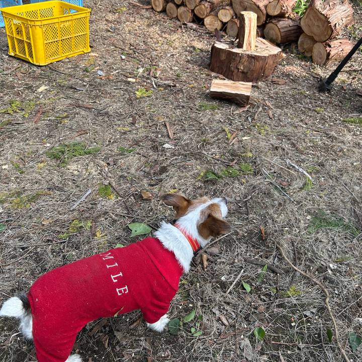 39082f29 a597 45f3 8347 da2bb9648270 1762435327813