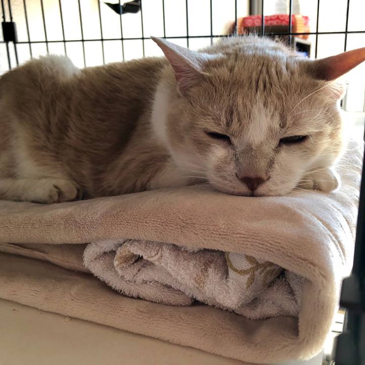 3908c1b6 a011 425c b8d7 7e0d271d3e75 1555132779799