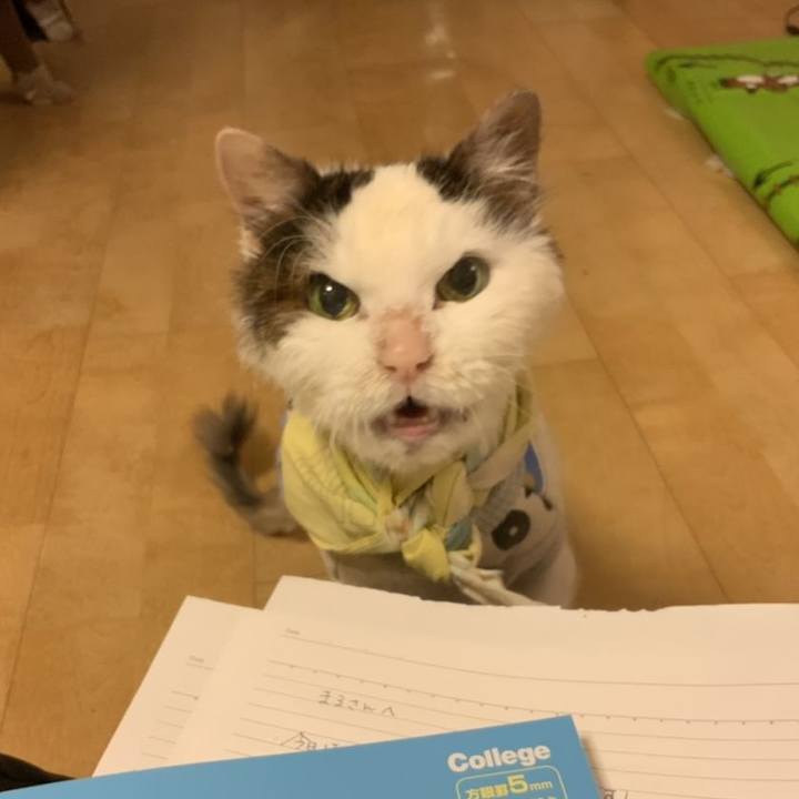 3908d5bf dbb6 41de 8133 5694d984edf7 1609886718712