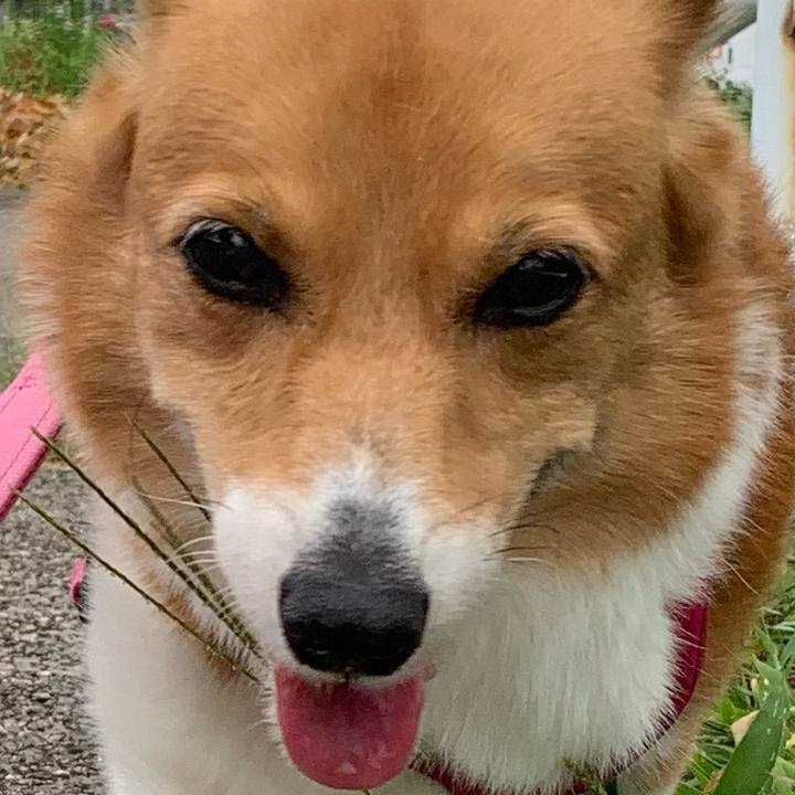 3908d5d7 bfc3 475c 9490 08ba56da8d55 1722904506238