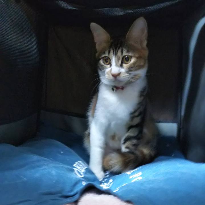 3909082c 6b56 4c62 a061 24d084efce09 1636447958214