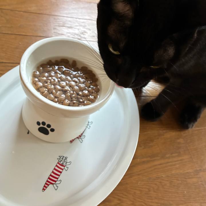 39090882 3e80 436e 9e78 4cfb8ea9872e 1752964924050