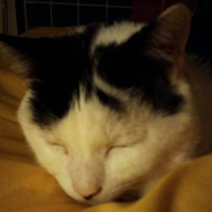 3909202d 9b7c 45f0 a0d9 024c01c35f8e 1553362245547