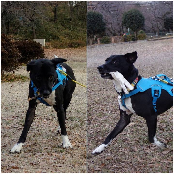 39093d03 a3d4 444a 9f18 4b470e3b7481 1609807206269