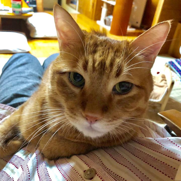 39093f60 0002 4402 8e59 25a2a4b39c30 1540217044657