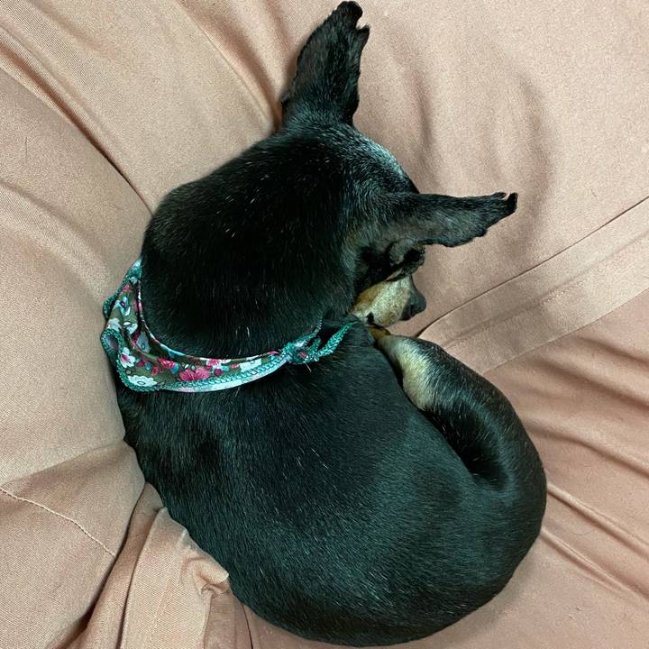 3909449f db12 4be7 b7f4 bba9344a897b 1580641199803