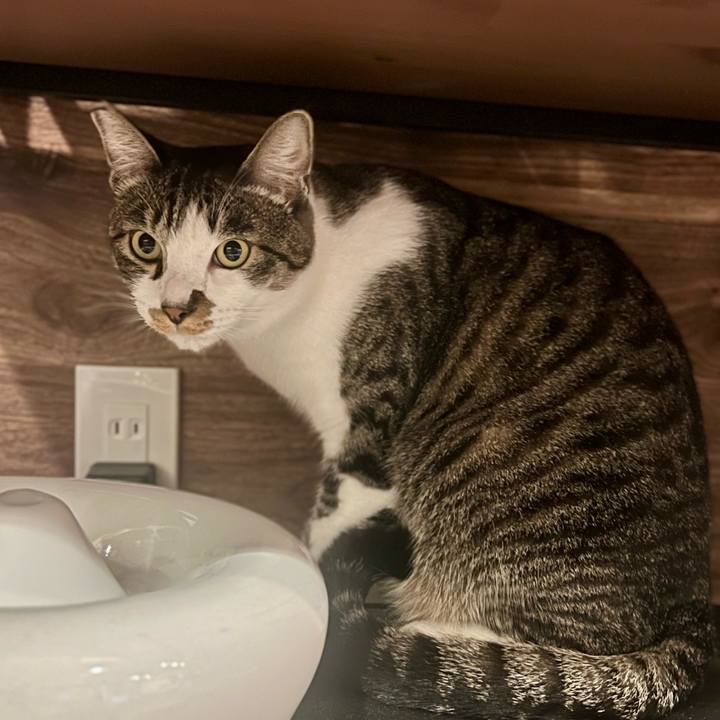 390954d0 2caf 467d 9eb9 436bec7ae949 1760961874331