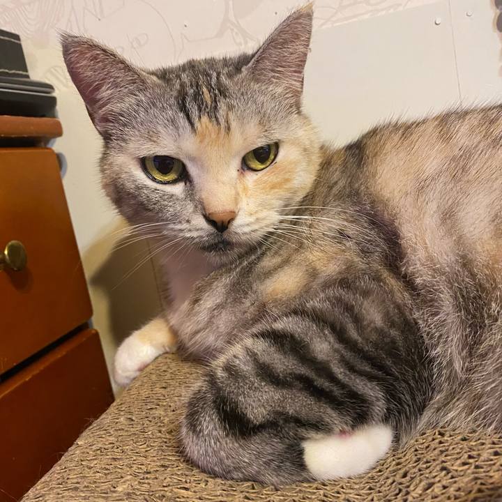 39095c25 fa37 47dd 937d 4f2cdf72ce9b 1632852208194