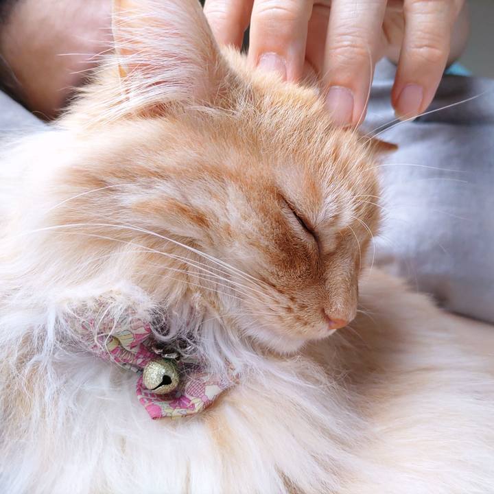 39099263 8bd4 4ad1 b11c 53dc54fb5ed6 1683943370331