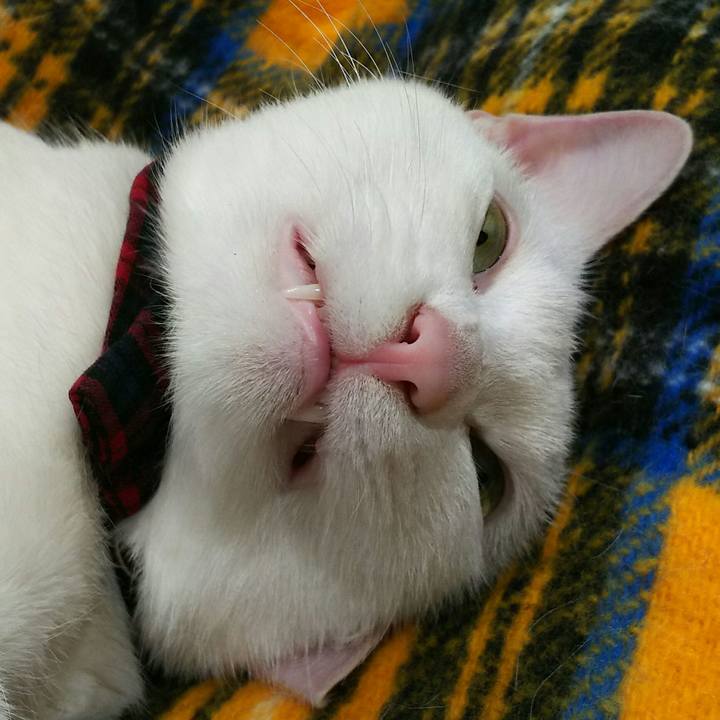 3909dae6 c9a5 4495 81c0 60098aa26672 1520430089134