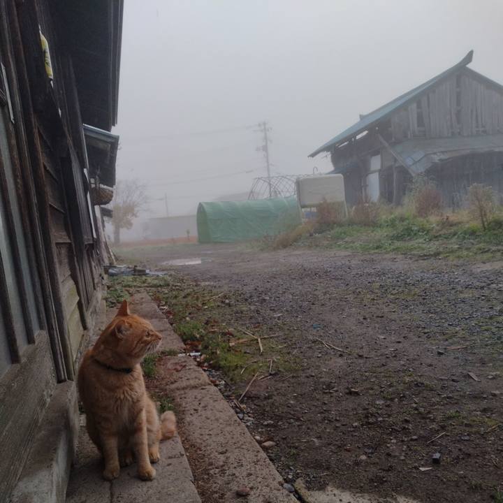 3909e13d 1a4e 4c56 9450 6bf9e23af126 1668291417569