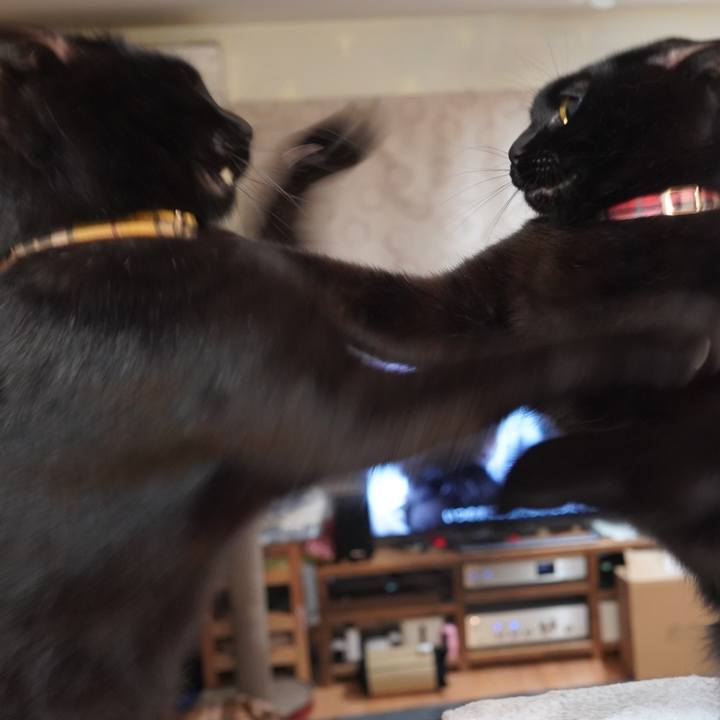 390a1ec2 2e87 4520 9d9c 24c030298583 1612275012302