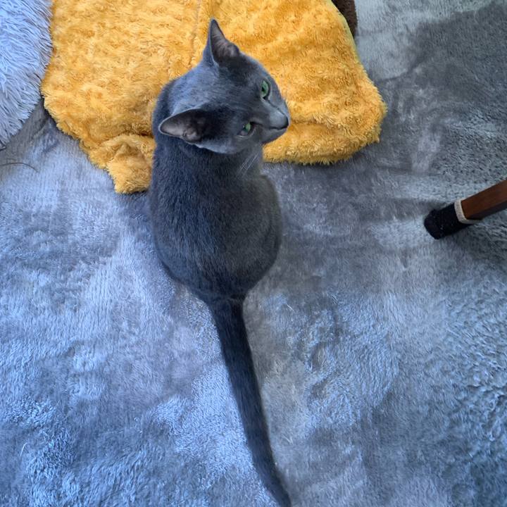 390a325f 9102 4ee9 a4a7 b6baf49b1df3 1649424658910