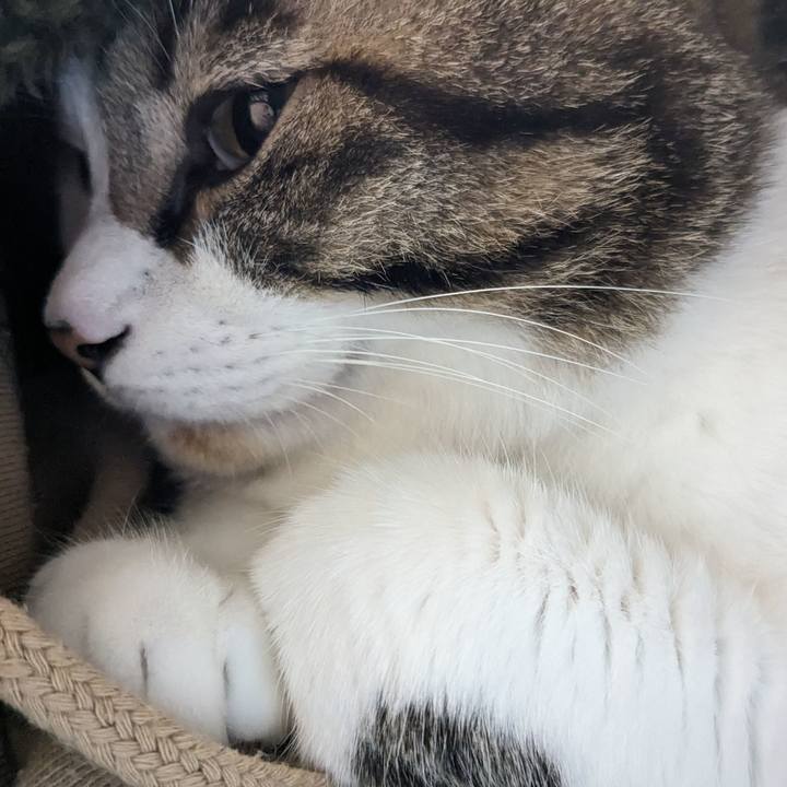 390a4e07 3311 4a14 80b7 7e820e910509 1699872786112