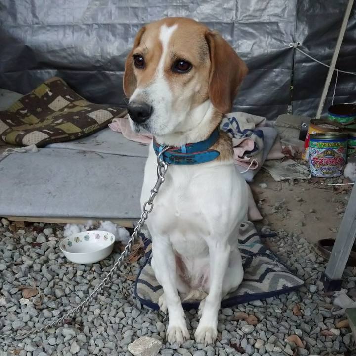 390a50c1 a83d 4392 ba59 a342ad277b05 1606721127487