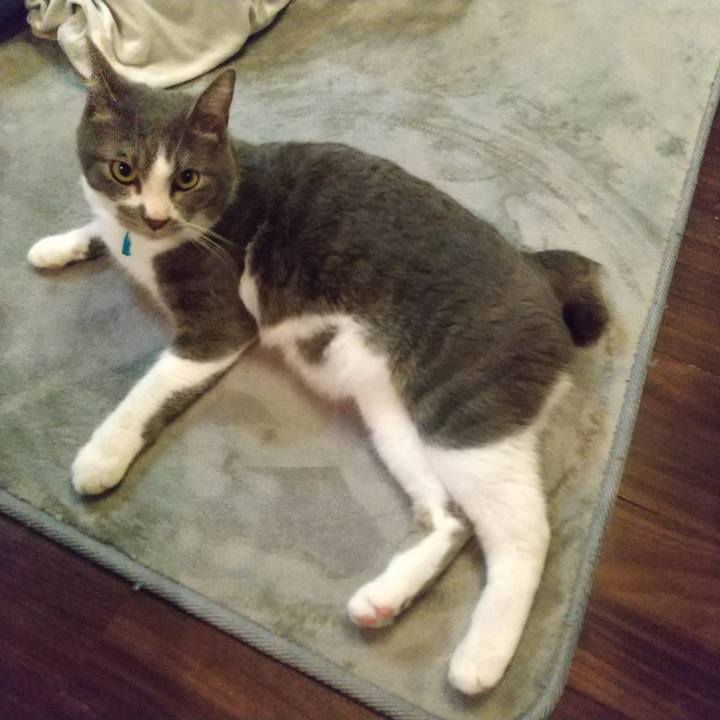 390a568e f2ff 4940 b5b2 5108053ae025 1647181978919