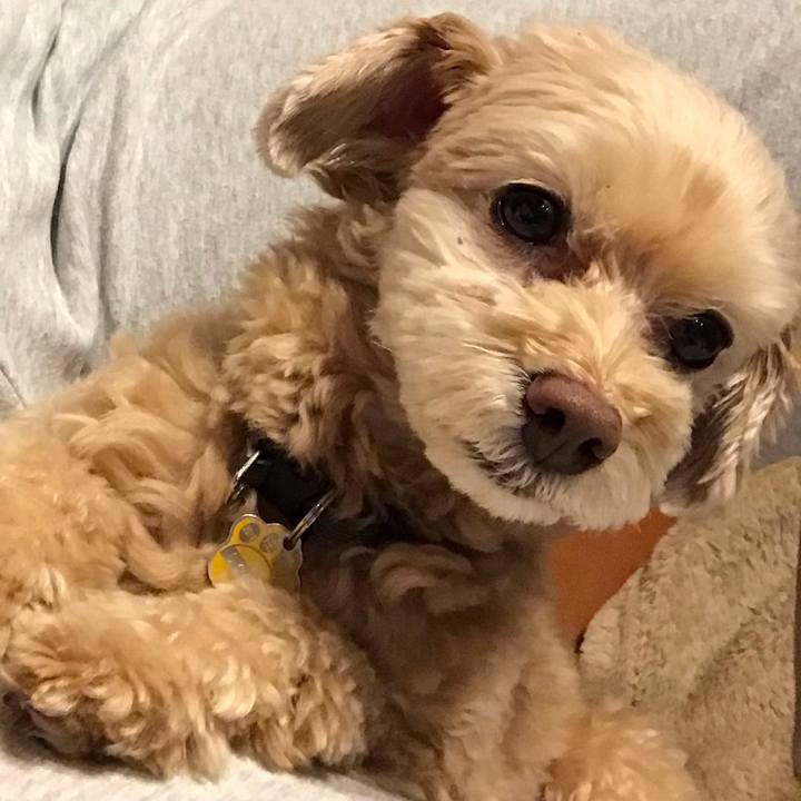 390a64d9 ecc8 4ec4 a541 83b36ec893c0 1571965687406