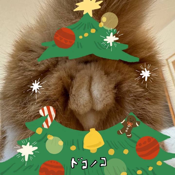 390a93c8 686a 4880 ace7 b47acb2135f3 1761101019343